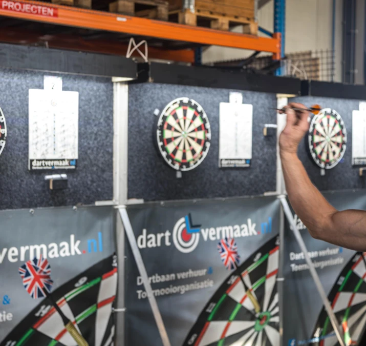 Dart 79